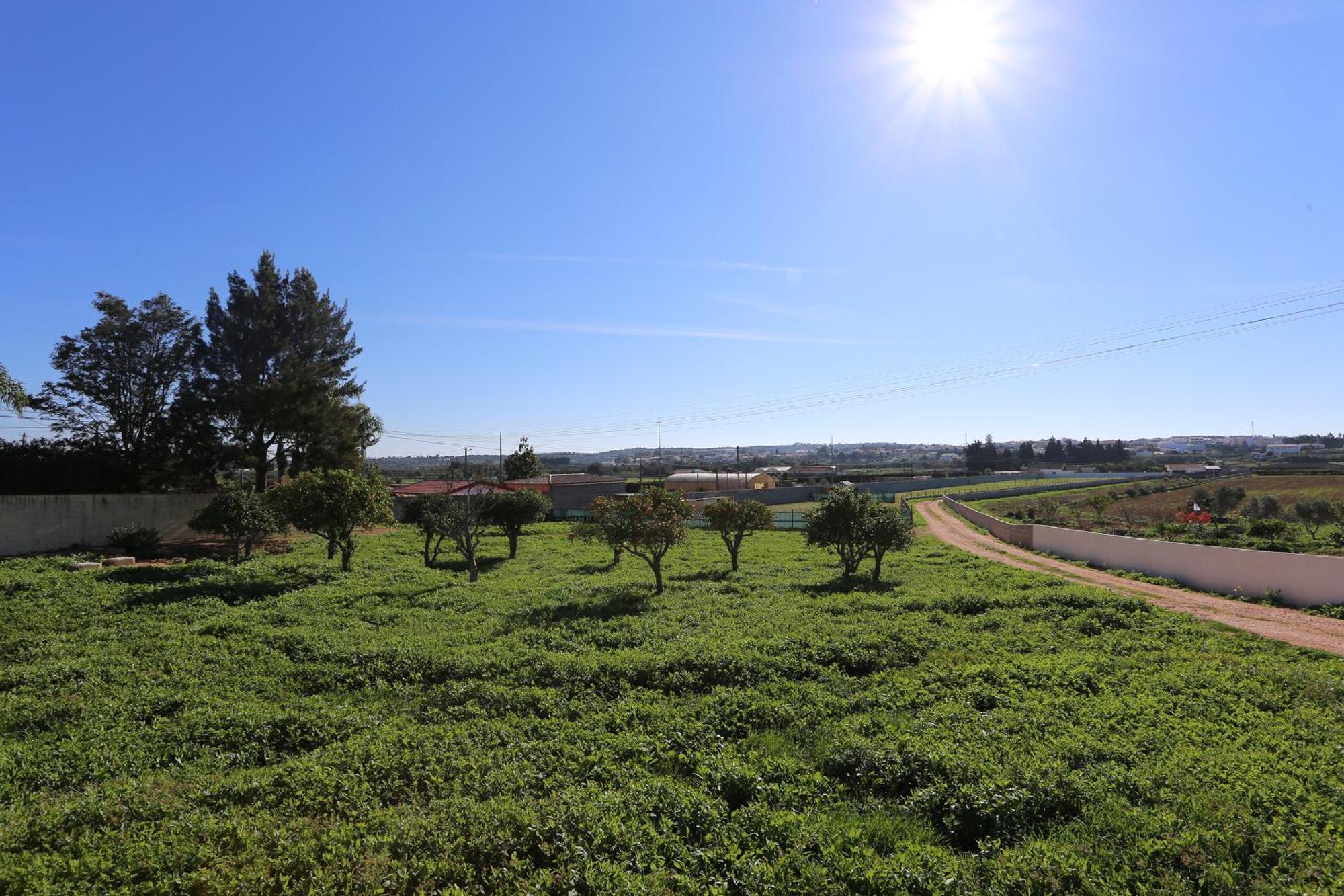 Quinta Da Ponte Odiáxere Exterior foto